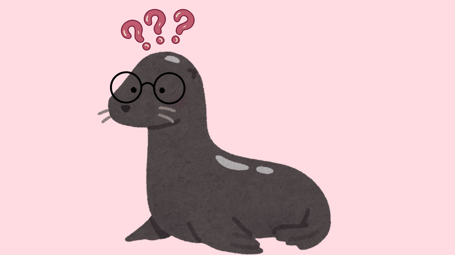 Foca